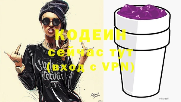 мет Корсаков