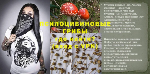 apvp Костерёво