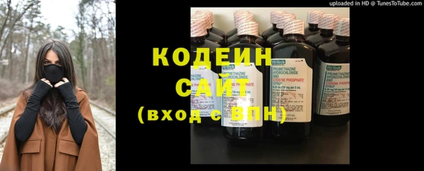 мет Корсаков