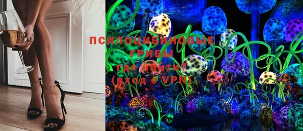 мет Корсаков
