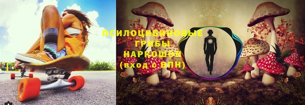 мет Корсаков